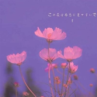 仙剑奇谭ol下载手机版